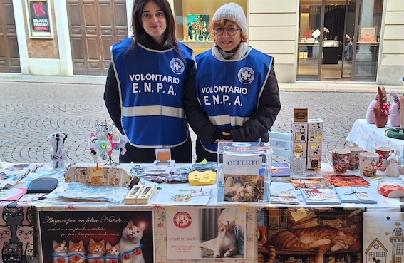 Due volontarie sorridenti accarezzano un gatto tigrato all’interno del Rifugio del Gatto ENPA. Sullo sfondo si vedono una stanza luminosa e altri gatti che si riposano. L’atmosfera è serena e accogliente. Nessun testo visibile nell’immagine.