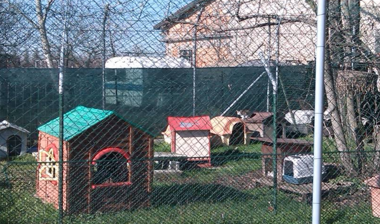 Recinto esterno del Rifugio del Gatto con recinzione metallica, area verde e alcuni giochi per gatti. L'ambiente trasmette una sensazione di sicurezza e tranquillità. Nessun testo visibile nell'immagine.